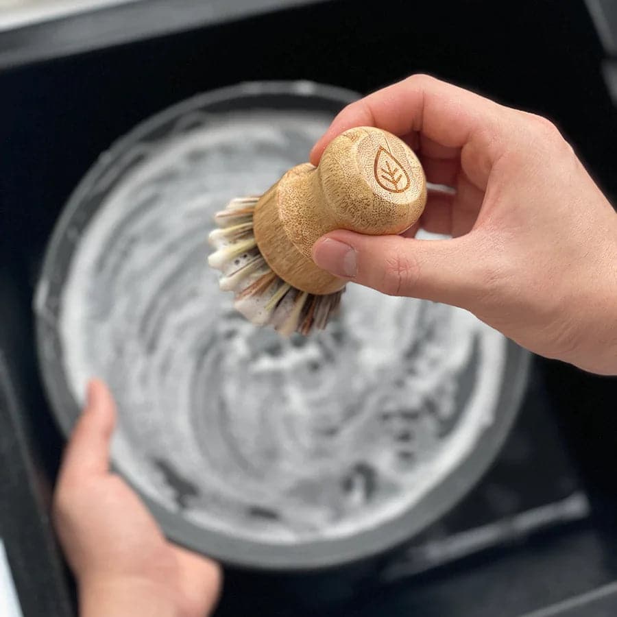 Solid Dish Soap Sponge Scrubber Hook Bundle